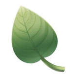 Leaf Logo