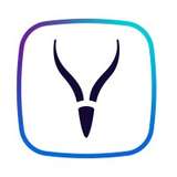 Springbok AI Logo