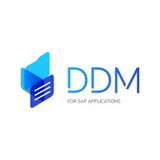 DDM Solutions Logo