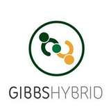 Gibbs Hybrid Logo