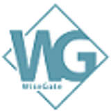 WiseGate Logo