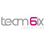 Team 6ix Logo