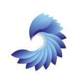 Blue Phoenix Group Logo