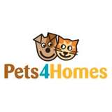 Pets4Homes Logo
