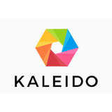 Kaleido AI Logo