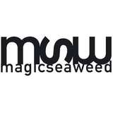 Magicseaweed Logo