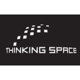 Thinking Space Systems Logo
