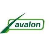 Avalon Logo
