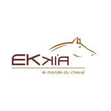 Ekkia Logo