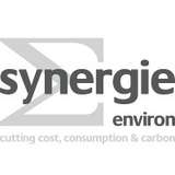 Synergie Environ Logo