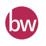 Businesswise Solutions Logo