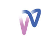 MVV Logo