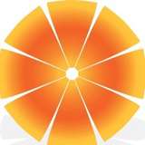 Orange Solutions Logo