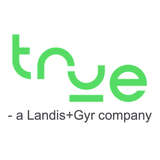 True Energy Logo