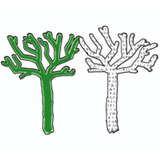 Climate Connect Logo