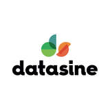 Datasine Logo