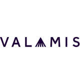 Valamis Logo