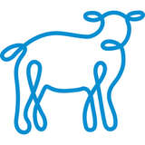 Sheepblue Logo