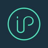 IPlytics Logo