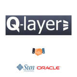 Q-Layer Logo