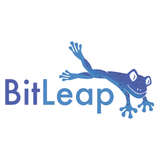 BitLeap Logo