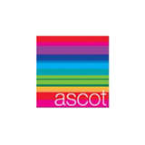 Ascot Group Logo