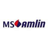 MS Amlin Logo