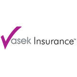 Vasek Insurance Logo