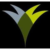 Money Matters North East Logo