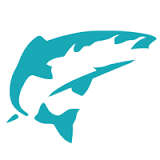 Salmon Software Logo