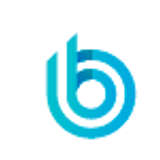 B4B Payments Logo