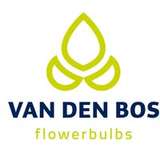 Van den Bos Flowerbulbs Logo