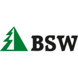 BSW Group Logo
