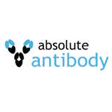 Absolute Antibody Logo