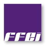 FFEI Logo