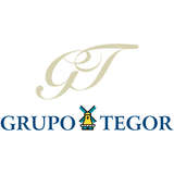 Grupo Tegor Logo