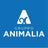 Gruppo Animalia Logo