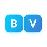 Blue Vision Labs Logo