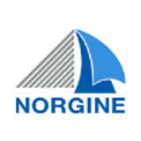 Norgine Logo