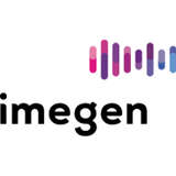 Imegen Logo