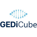 GEDiCube Logo