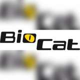 BioCat Logo