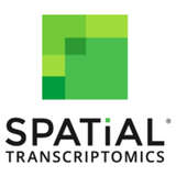 Spatial Transcriptomics Logo