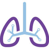PulmoTech Logo