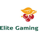 Elite Gaming Logo
