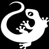 Coconut Lizard Logo