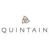 Quintain Logo