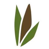 Bamboo Distribution Logo