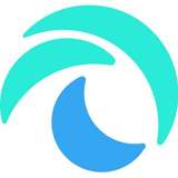 DS Data Systems Logo