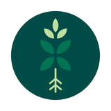 BloomBox Club Logo
